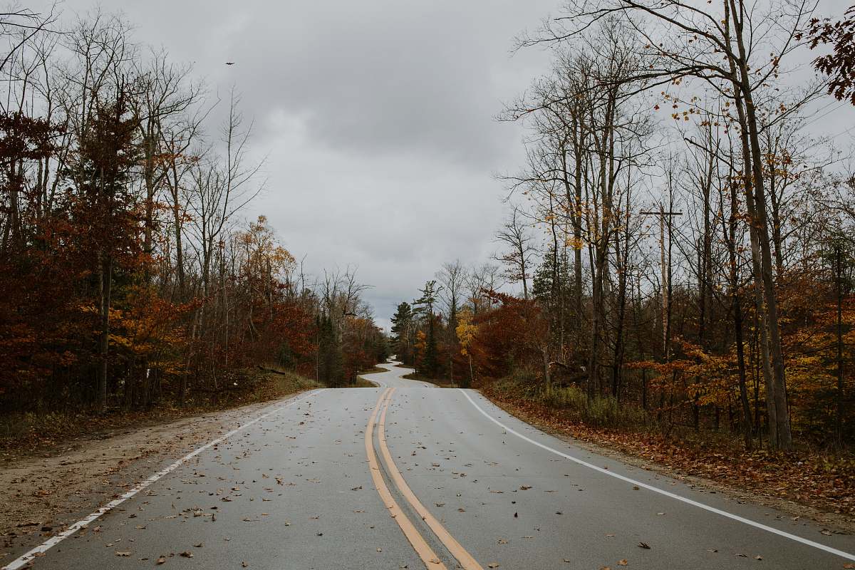 dirt road concrete road in forest gravel